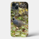 Search for watcher electronics Bird watchers