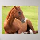 Recherche de repos posters Relax