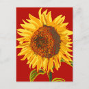 Search for penpalling postcards Snailmail