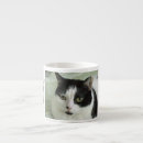 Search for pretty kitty mugs Feline