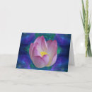 Search for pink lotus flower cards Flowers