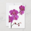 Search for receptions wedding rsvp cards Orchid