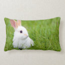 Recherche de lapin blanc coussins Mignon