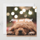 Recherche de animals christmas invitations Pour tous