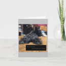 Search for talking cards Dog