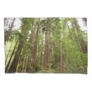 Search for wood pillowcases Nature
