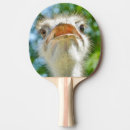Recherche de oiseaux raquettes ping pong Pour enfants