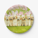 Search for puppy plates Avanti press