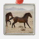 Search for namibia ornaments Desert
