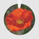 Search for poppy flower ornaments Wildflower