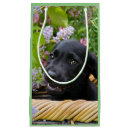 Search for labrador gift bags Puppy