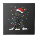 Search for dog tiles Funny