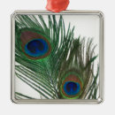 Recherche de peacock ornements Vert