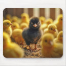 Search for chick humour mousepads Chicken
