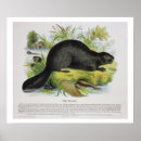 Recherche de pédagogique art Bois