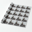 Search for seal wrapping paper Sea animals