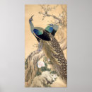 Search for japanese peacock art Floral