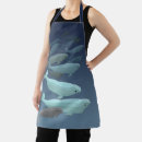 Search for beluga aprons Whale