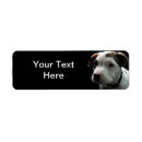 Search for bull dog return address labels Terrier