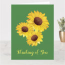 Search for blank sunflower cards Flora