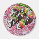 Recherche de fraise de chocolat magnets Nourriture