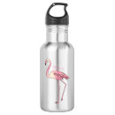Recherche de oiseau flamboyant Flamants