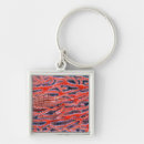 Search for okinawa keychains Japan