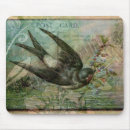 Recherche de hirondelles tapis souris Oiseau