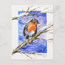 Recherche de robin cartes postales Aquarelle