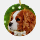Search for cavalier king charles spaniel ornaments Cute