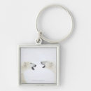 Search for confrontation keychains Animal