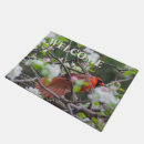 Recherche de cardinal Oiseau chanteur