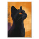 Recherche de haustier posters Animaux