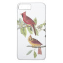 Search for cardinal iphone cases Tree