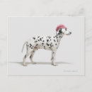 Recherche de dressing cartes postales Animaux