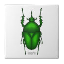 Search for bugs tiles Insect