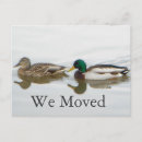 Search for water bird invitations Duck