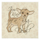 Recherche de chihuahua posters Animal