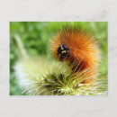 Search for fuzzy postcards Green