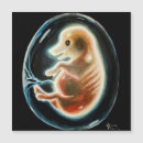Search for pig mothers day cards Animal