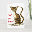 Search for funny tabby cat cards Humour