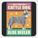 Recherche de heller autocollants Blue heeler