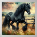 Search for black horse posters Farm animal