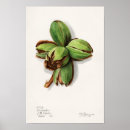Recherche de hochet posters Vintage