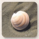Search for seashell pictures coasters Seashells