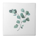 Recherche de eucalyptus carreaux Feuille