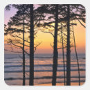 Search for site stickers Tree