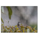 Recherche de colibris planches à découper Nature