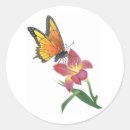 Search for pollinator stickers Wings