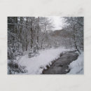 Search for love snow postcards Forest